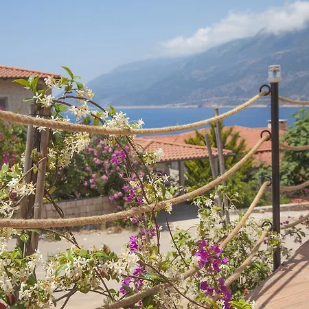 Peace 2* Kaş